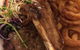 Wintersun Hotel Motel Restaurant - thumb 5