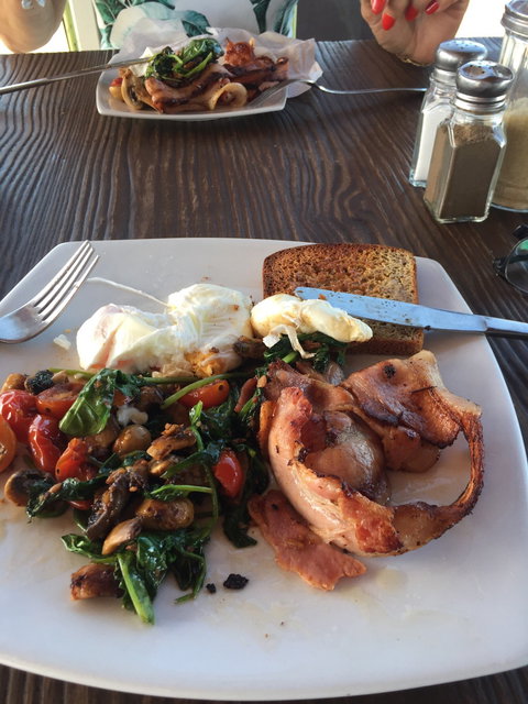 Ellie's Cafe - Pet Food Australia 4