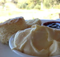 Tanglefoot Winery Cafe - Food Delivery Shop