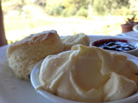 Tanglefoot Winery Cafe - Food Delivery Shop 0