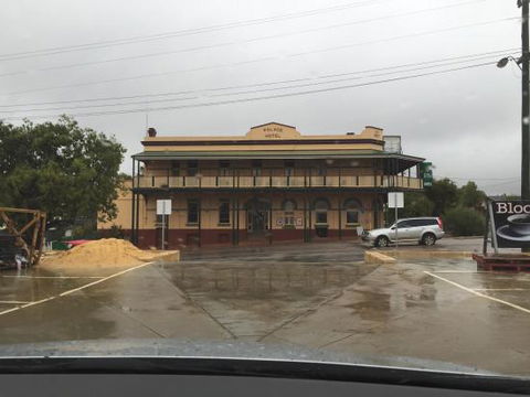 The Palace Hotel - Pet Food Australia 0