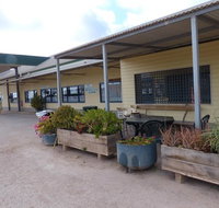 BP John Eyre 1878 Caiguna Western Australia - Pet Food Australia