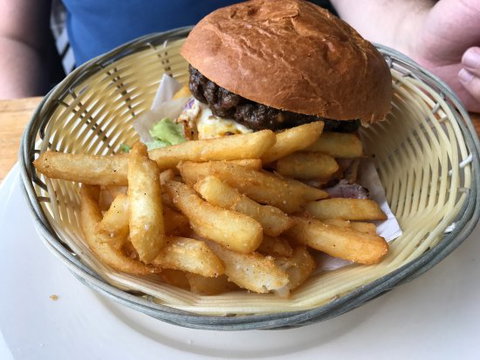 Aurora Ozone - Pet Food Australia 0