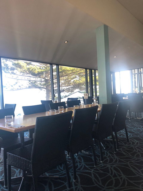 Aurora Ozone - Pet Food Australia 1