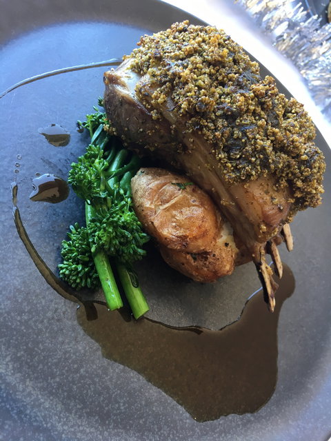 Aurora Ozone - Pet Food Australia 4