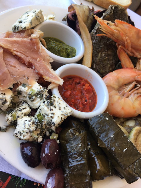 Aurora Ozone - Pet Food Australia 6