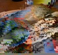 Panini Cartel - Pet Food Australia