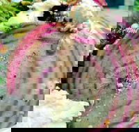 Thunderbird Kitchen - Food Delivery Shop