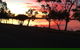 Barmera Hotel - thumb 12