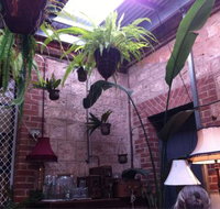 Bay Funktion - Pet Food Australia