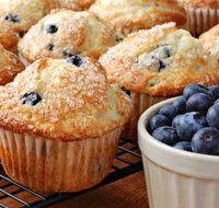 Wicked Beans Cafe - Pet Food Australia