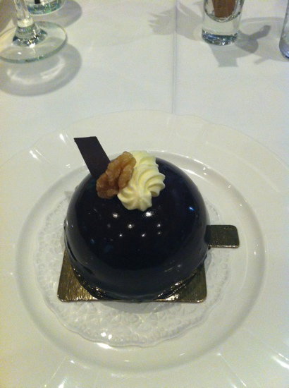 M Yogo - Pet Food Australia 1