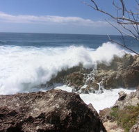 Point Lookout Bowls Club - Pet Food Australia