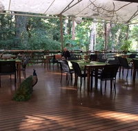 The Restaurant at Cedar Park - Food Delivery Shop