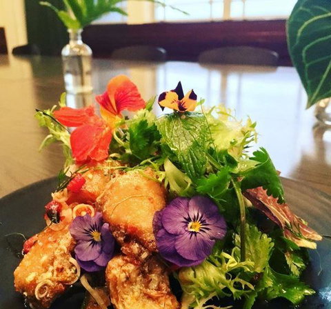 Apple Daily Bar & Eating House - Pet Food Australia 3