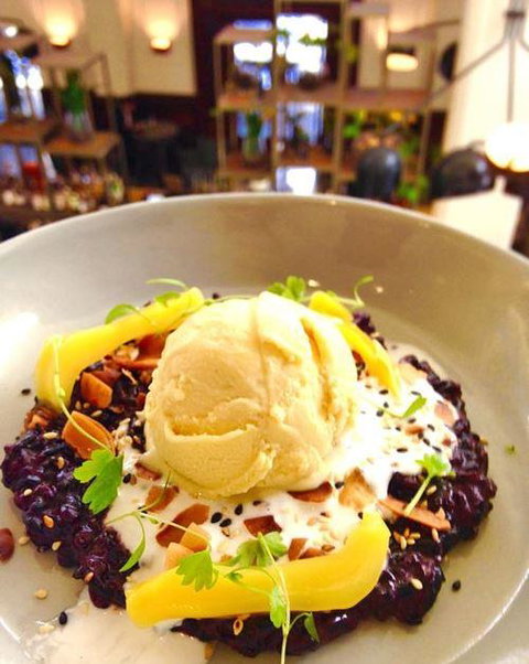 Apple Daily Bar & Eating House - Pet Food Australia 4