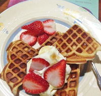 Grand Bar  Bistro - Pet Food Australia