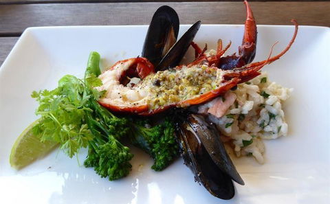 Katch-Up Seafood Grill & More - Pet Food Australia 10