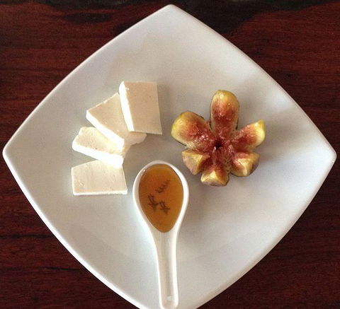 Katch-Up Seafood Grill & More - Pet Food Australia 4