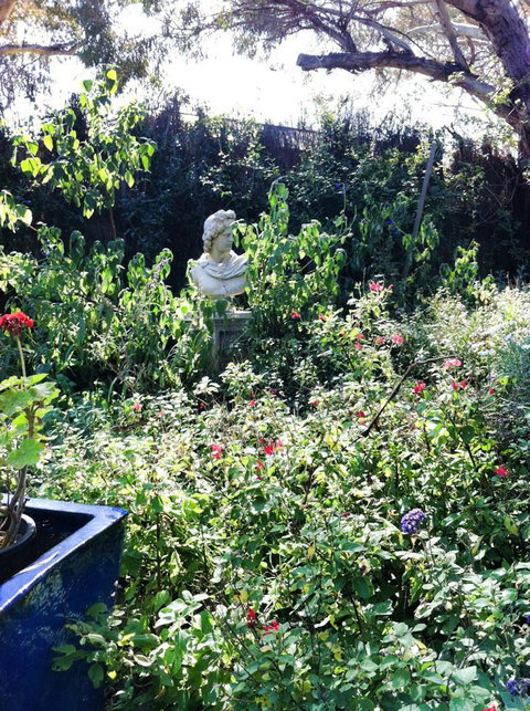 Lavande Of Callington - Pet Food Australia 4