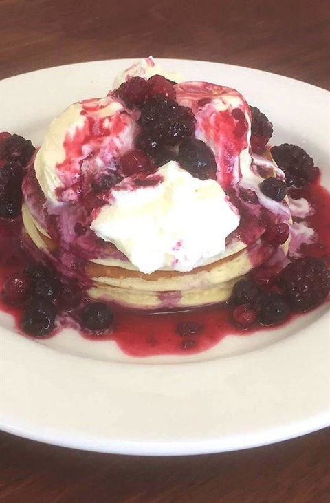 Tatsuya - Pet Food Australia 4