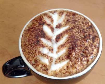 Tatsuya - Pet Food Australia 8