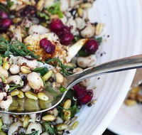 Toastface Grillah - Pet Food Australia