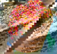 Brew  Scoop - Food Delivery Shop