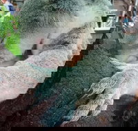 Champagne Bush Tucker Breakfast with the Koalas - Food Delivery Shop