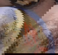 Mount Isa Irish Club - Food Delivery Shop