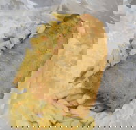 Scotsmans Fish  Chips - Pet Food Australia