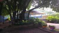Tamarind Magnetic Island