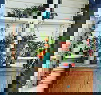 Six Oaks - Pet Food Australia