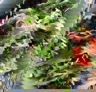 The Spun Yarn Cafe - Pet Food Australia