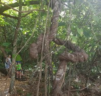 Foxy's Bar - Pet Food Australia