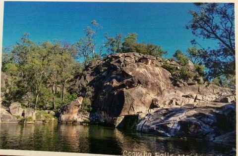 Maidenwell Trading Post - Pet Food Australia 0