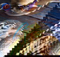 O'Reilly's Rainforest Retreat Dining Room - Pet Food Australia