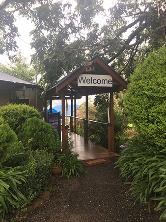 The Head QLD Pet Food Australia