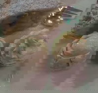 Suttons - Food Delivery Shop