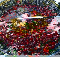 Red Chilli Sichuan Burwood - Pet Food Australia