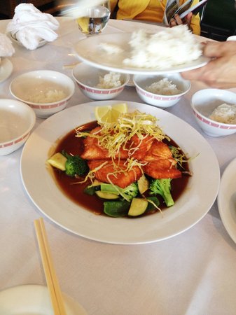 Eastern Bell Chinese Restaurant - Pet Food Australia 0