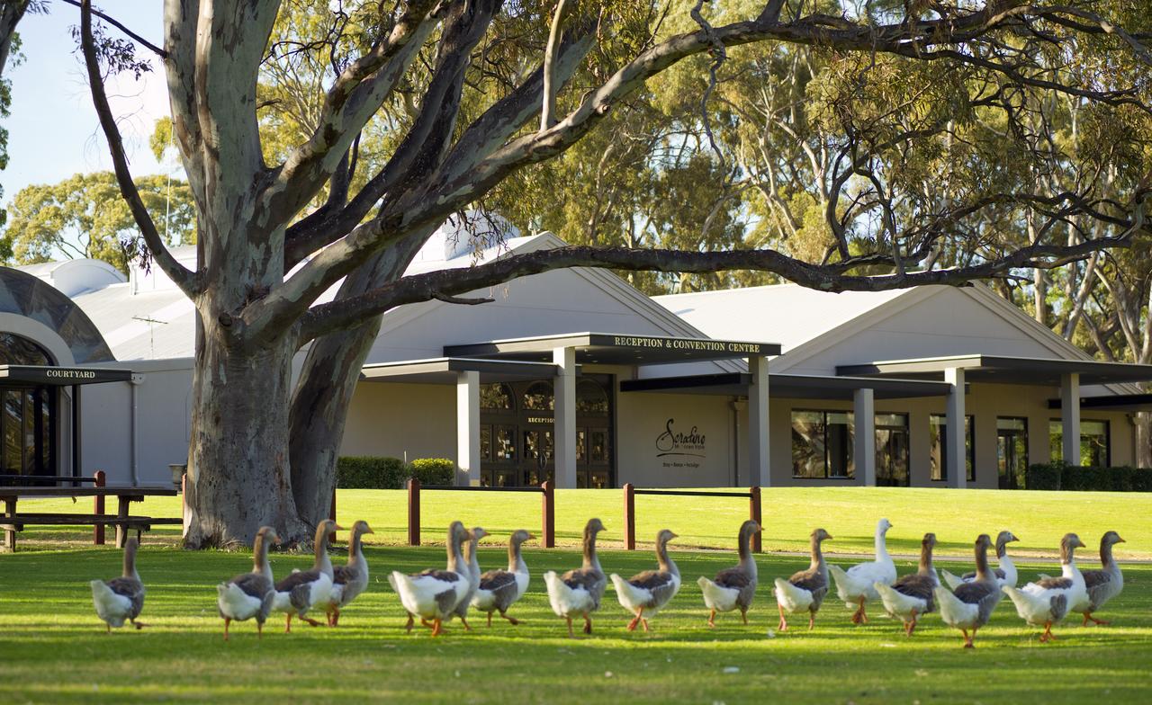 Serafino McLaren Vale McLaren Vale