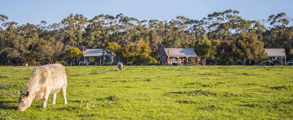 Freshwater Creek Cottages  Farm Stay Freshwater Creek