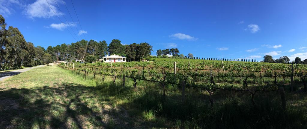Karawatha Cottages BB Blewitt Springs