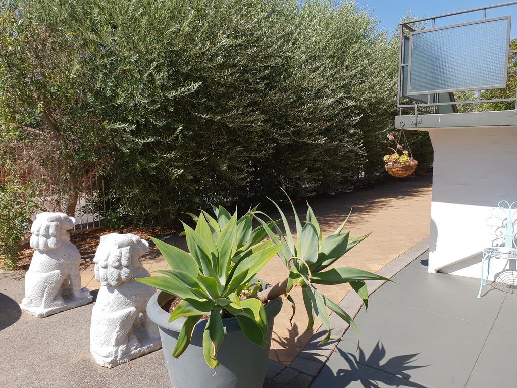 Mt.Lawley superb 2 BR Apartment Ideally located 5 Inglewood