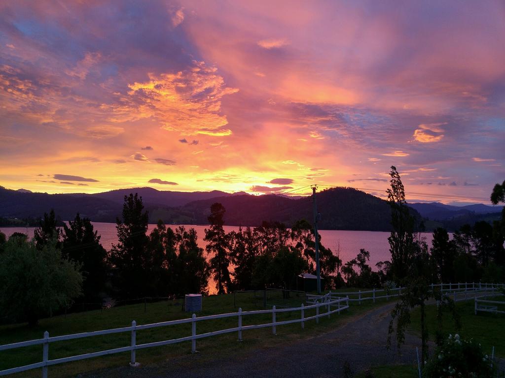 Ambience on Huon Bed  Breakfast Wattle Grove