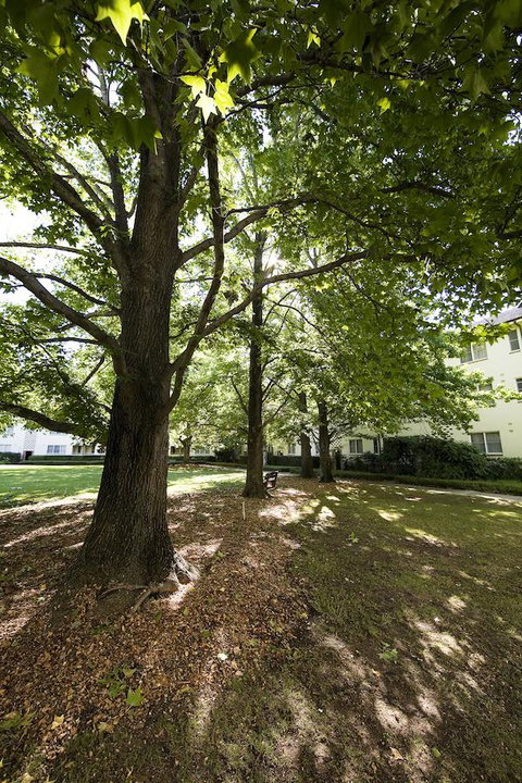 University House - ANU - Food Delivery Shop 28