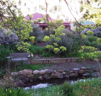 Frog Song at Willunga - Food Delivery Shop