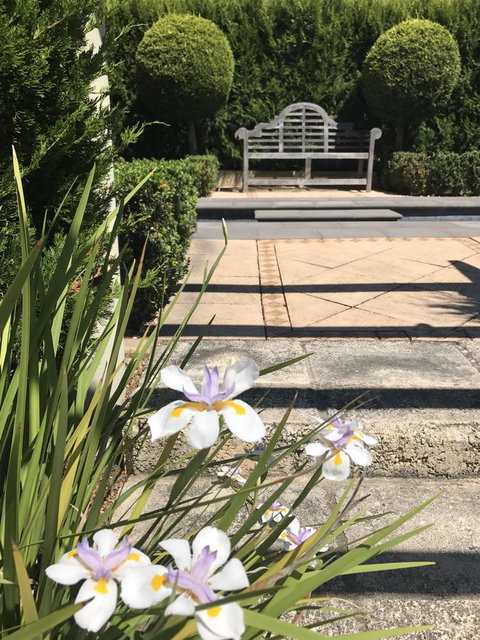 S T U D I O 22 Peaceful Retreat With Garden Views - Pet Food Australia 13