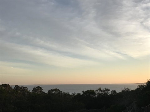 S T U D I O 22 Peaceful Retreat With Garden Views - Pet Food Australia 16